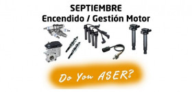Aser gestion motor septiembre doce causas