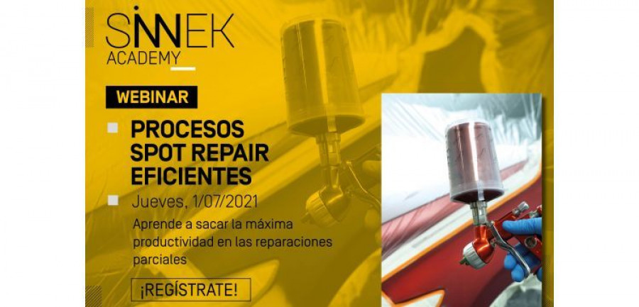 SINNEK Formacion Online Spot Repair