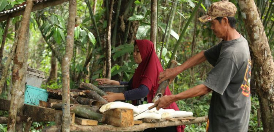 caucho sostenible Continental GIZ Canopy Indonesia