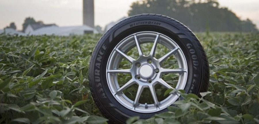 goodyear neumaticos aceite de soja