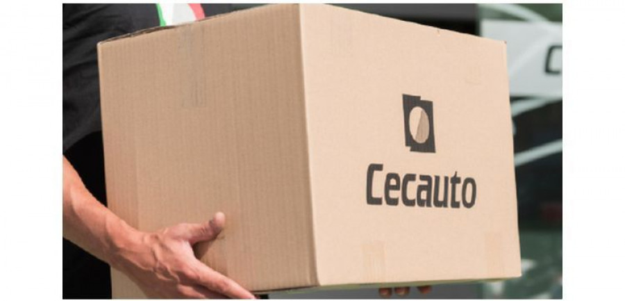 cecauto delegacion norte