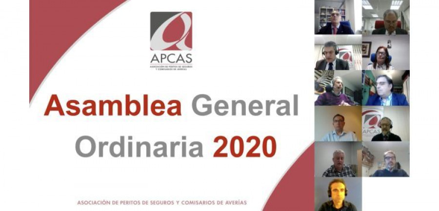 Comision Ejecutiva Apcas estatutos