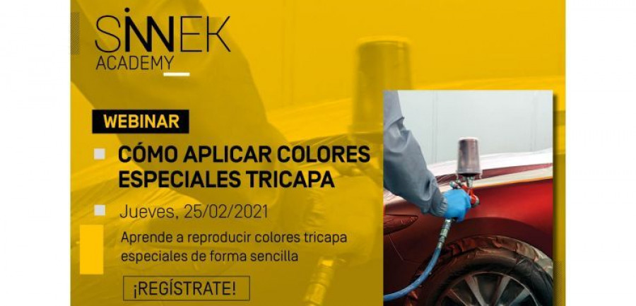 Sinnek Webinar colores Tricapa