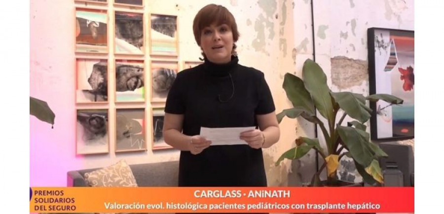carglass premios aninath