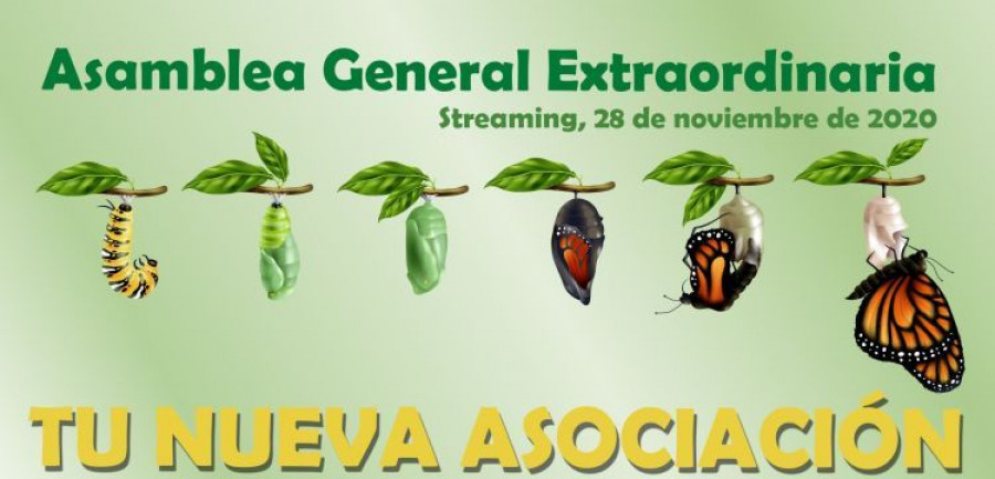 apcas asamblea general extraordinaria