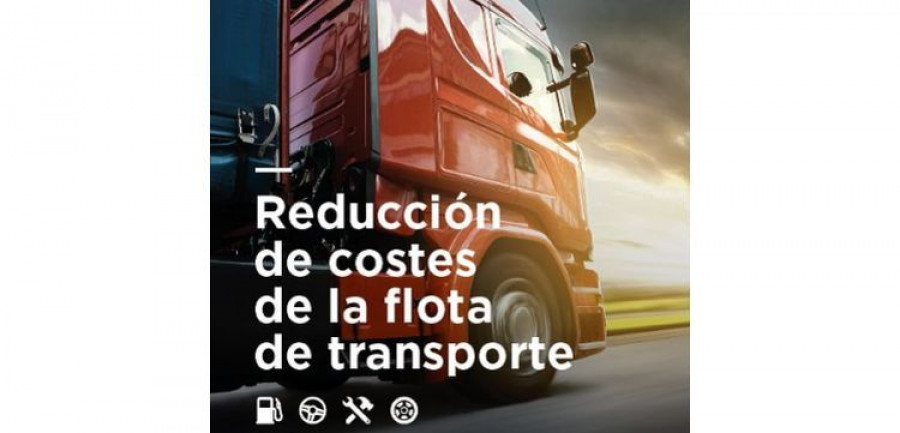EBook transporte bridgestone webfleet