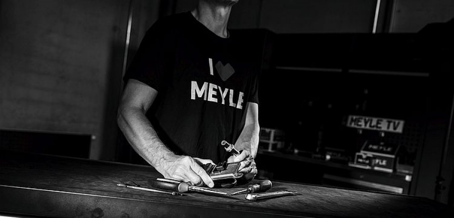 meyle25