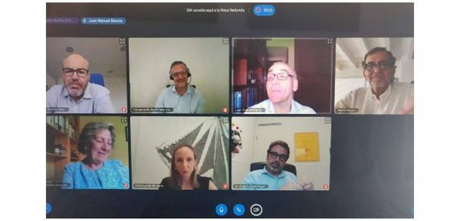 Mesa redonda Apcas
