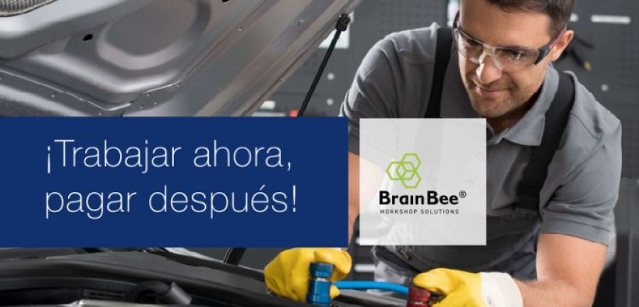 mahle brain bee carencia