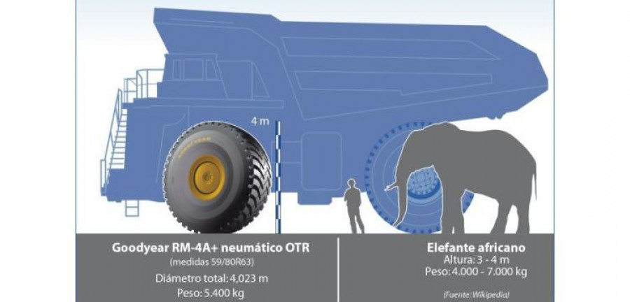 Goodyear neumatico elefante