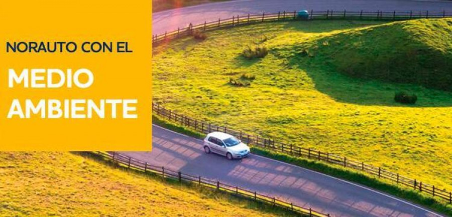 norauto reforestacion