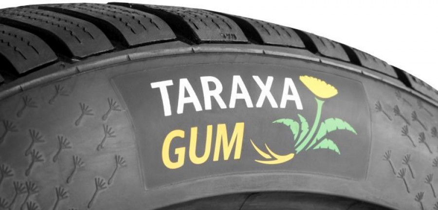 Taraxagum Continental WinterContact TS 850 P