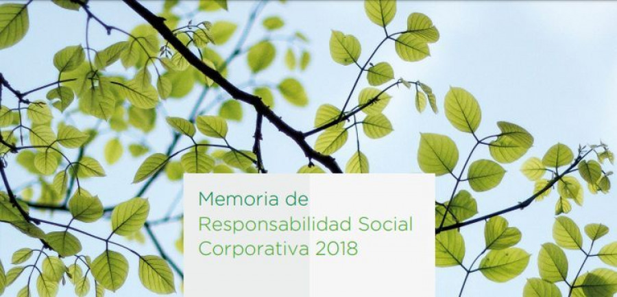 mann+hummel informe RSC