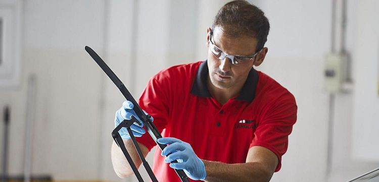 carglassbosch