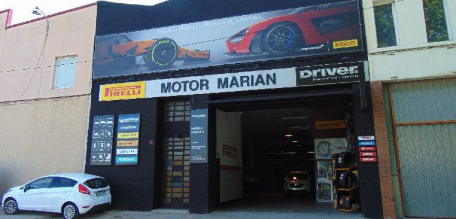 Mator Marian (1) (1)
