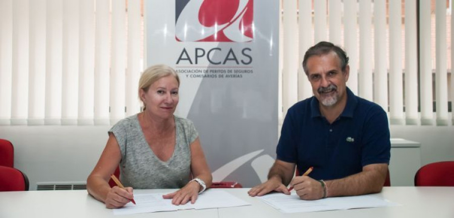 apcas consejo peritos