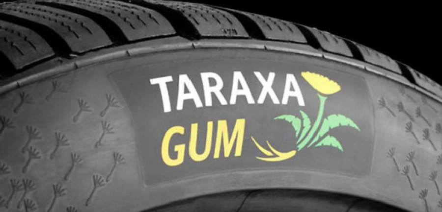 Taraxagum