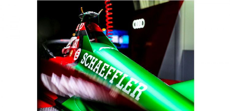 Schaefflerfe