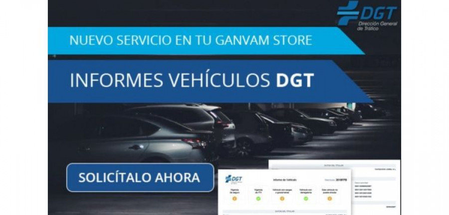 Informe Vehículo DGT GanvamStore