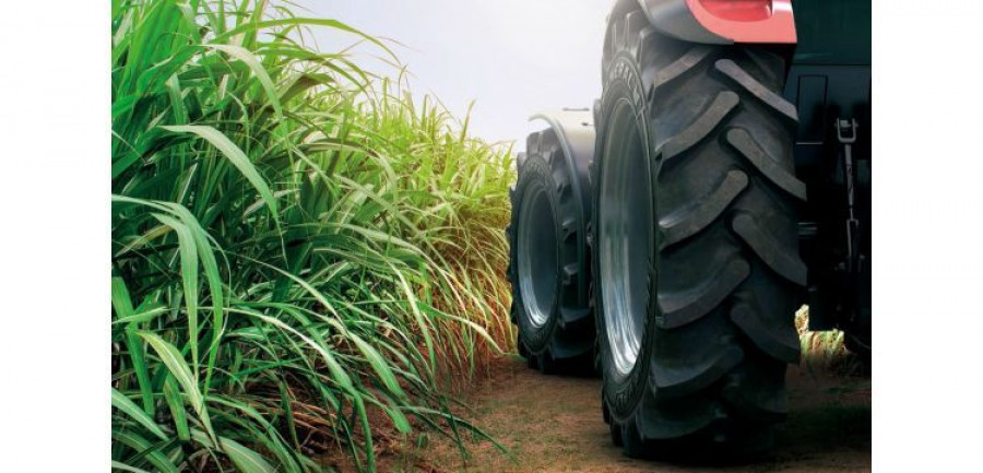 General tire grupo andres agricultura