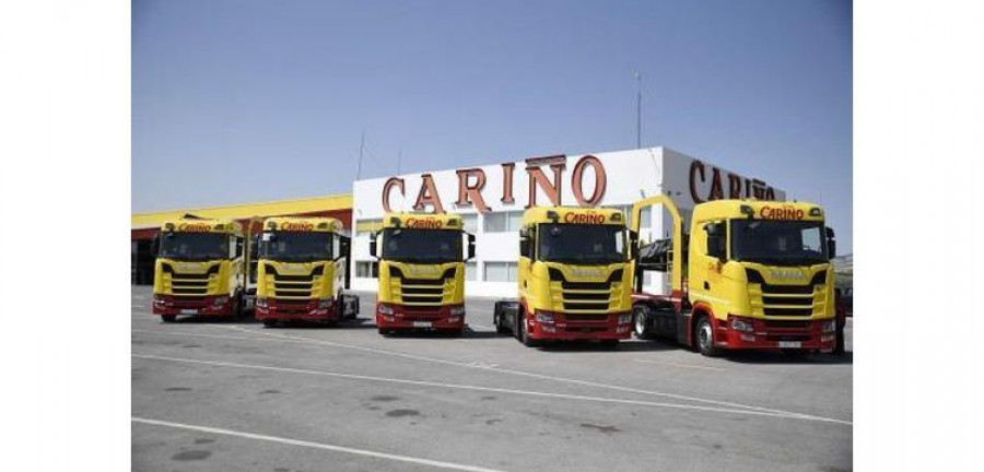 Grupo Carino michelin flotas