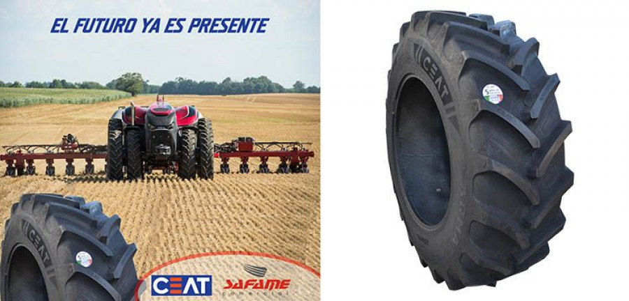 Safame_CEAT