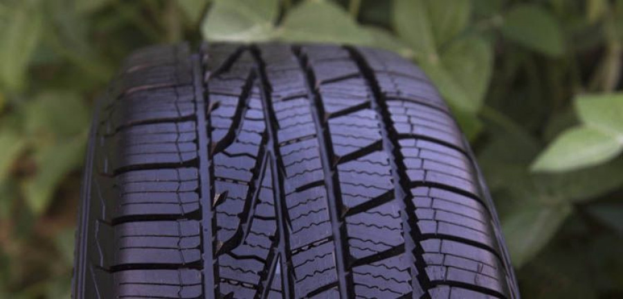goodyear_soja
