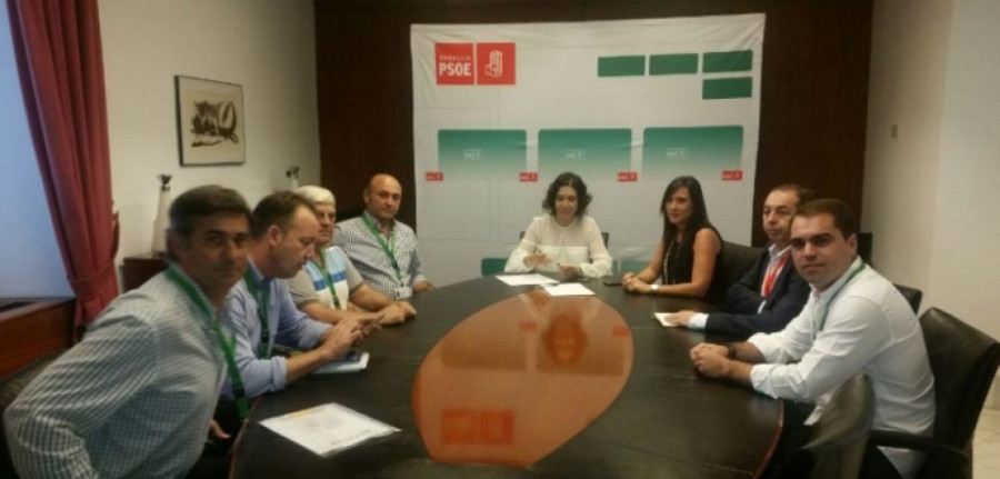 asoreca_psoe_cadiz