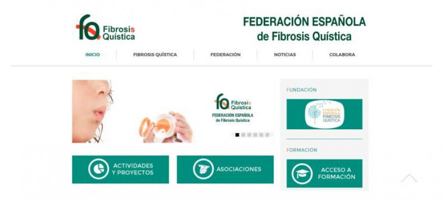 fibrosis_carglass