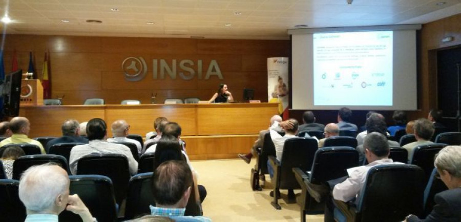 asepa_insia_diesel_gasnam