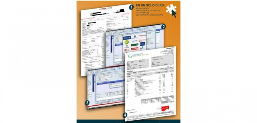 gemicar-integra-peritaciones