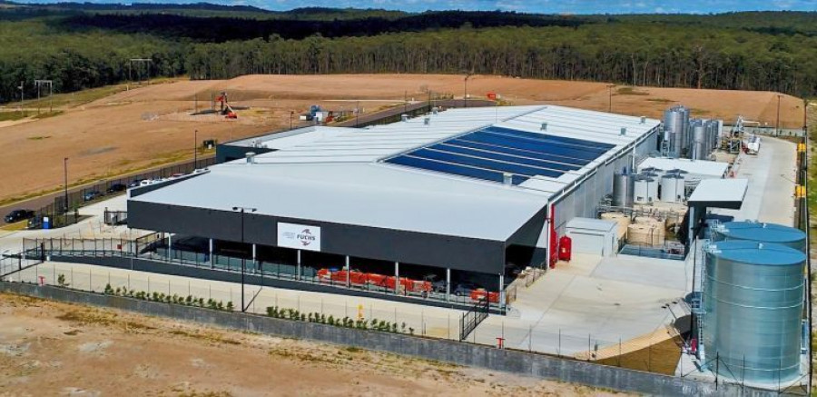 fuchs_planta_australia