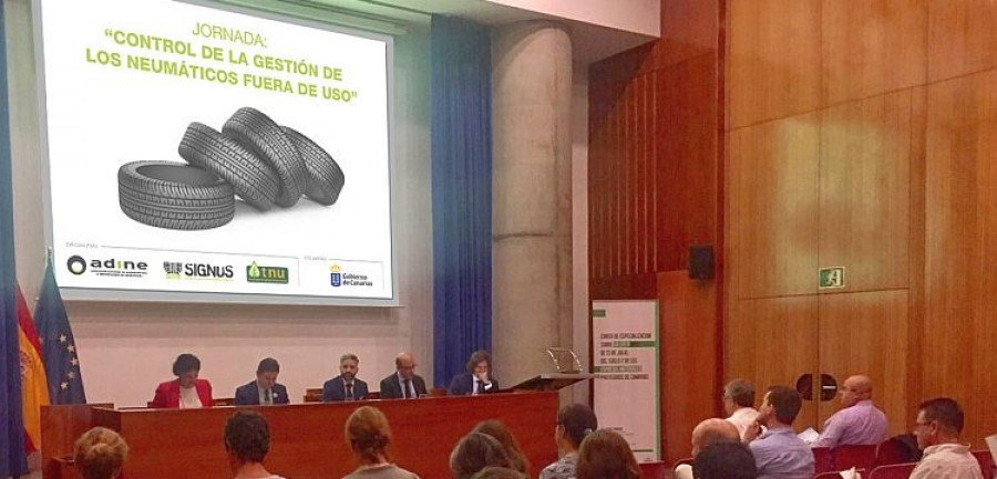 ADINE TNU SIGNUS CANARIAS