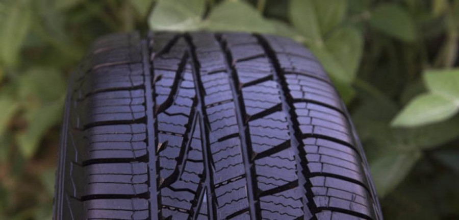 goodyear_soja-960x460