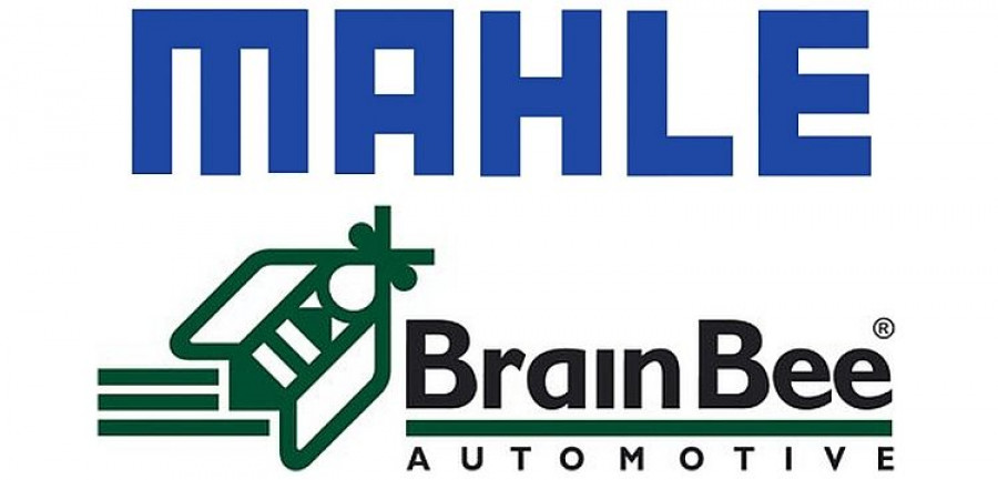 mhlebrain