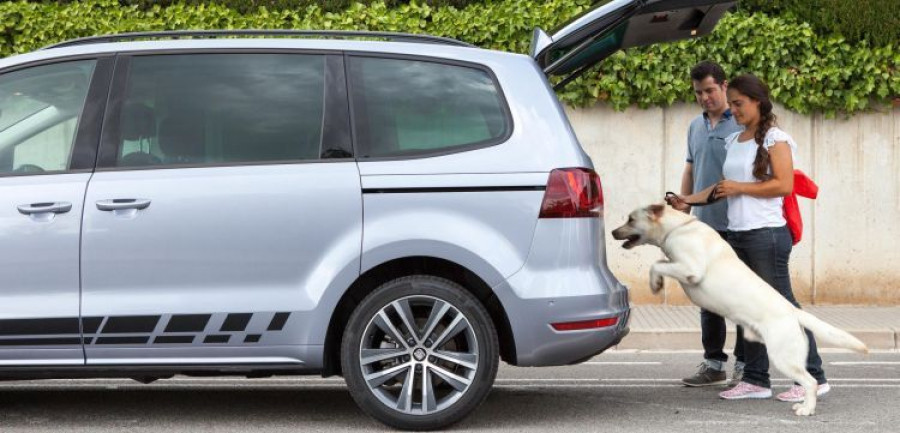 SEAT_mascotas_perro
