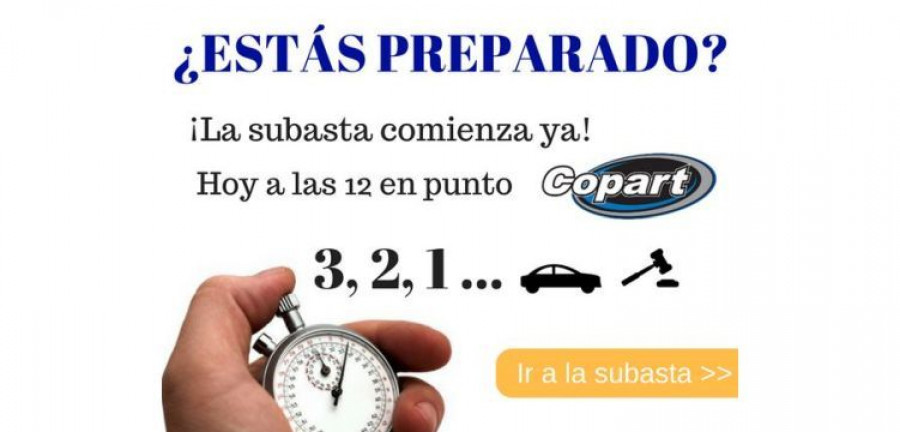 copart_12subasta