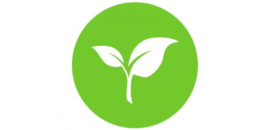 333721_resources