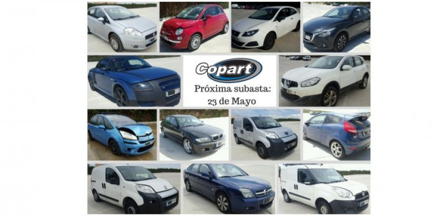11th auction- our website has been updated