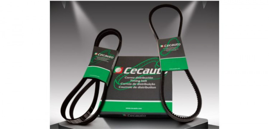correas_cecauto