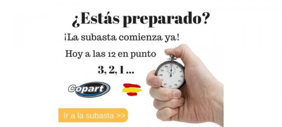 copart_subasta