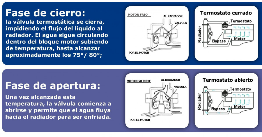 Funcionamiento de las válvulas termostáticas para radiadores