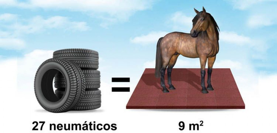 neumaticos_LOSETAs_ CABALLO