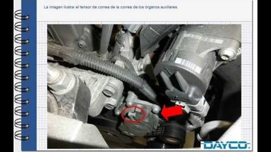 55d4c3cf874886dcf726ba6ea5bfe756