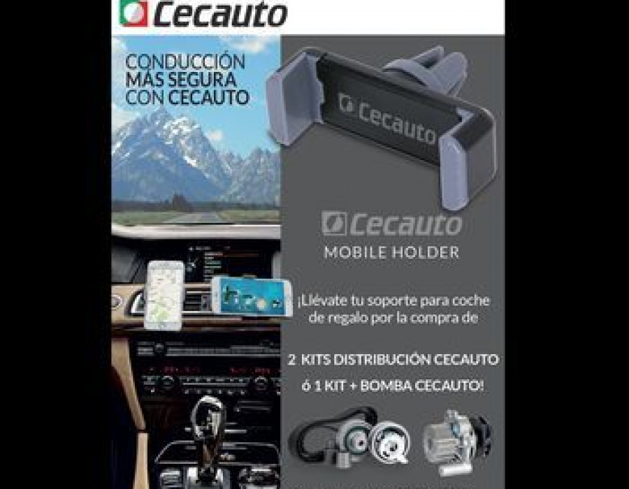 Campaña_Cecauto
