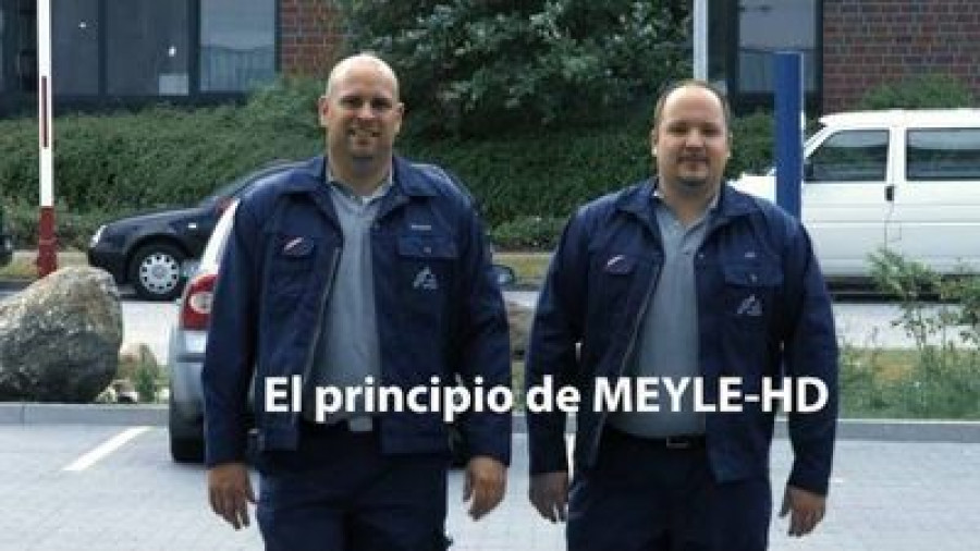 Meyle_HD_principio