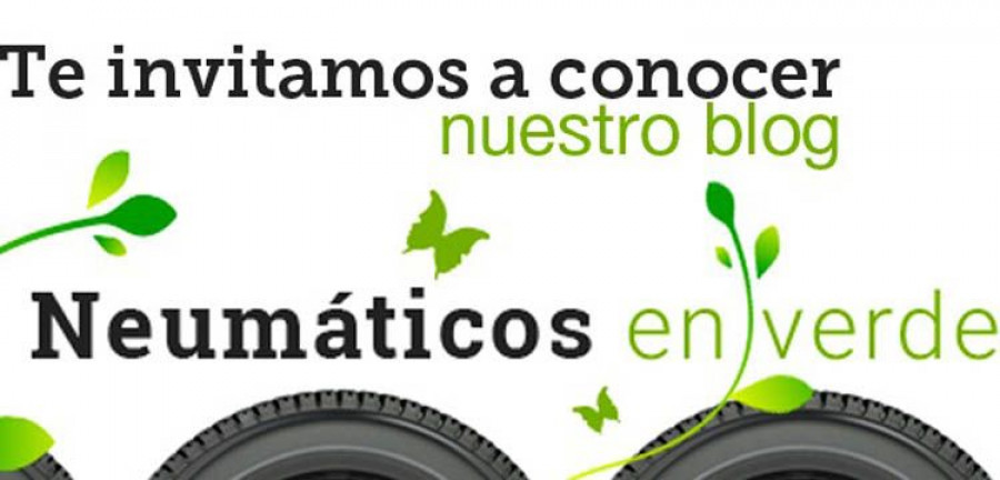 Blog_Signus