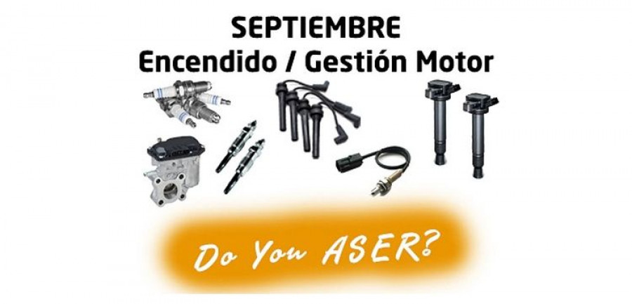 Aser gestion motor septiembre doce causas