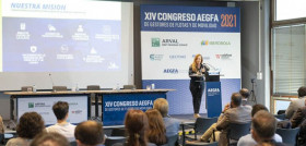 Michelin connected fleet congreso aegfa