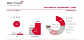 Concursalidad empresarial españa iberiform